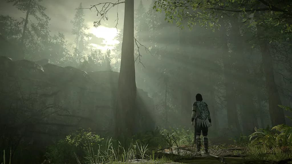 Shadow Of The Colossus (PS4) - PSN Compte