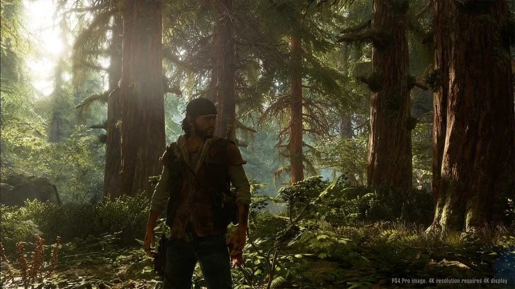 Days Gone (PS4) - PSN Compte