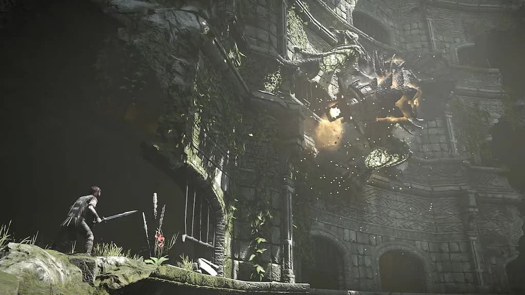 Shadow Of The Colossus (PS4) - PSN Compte